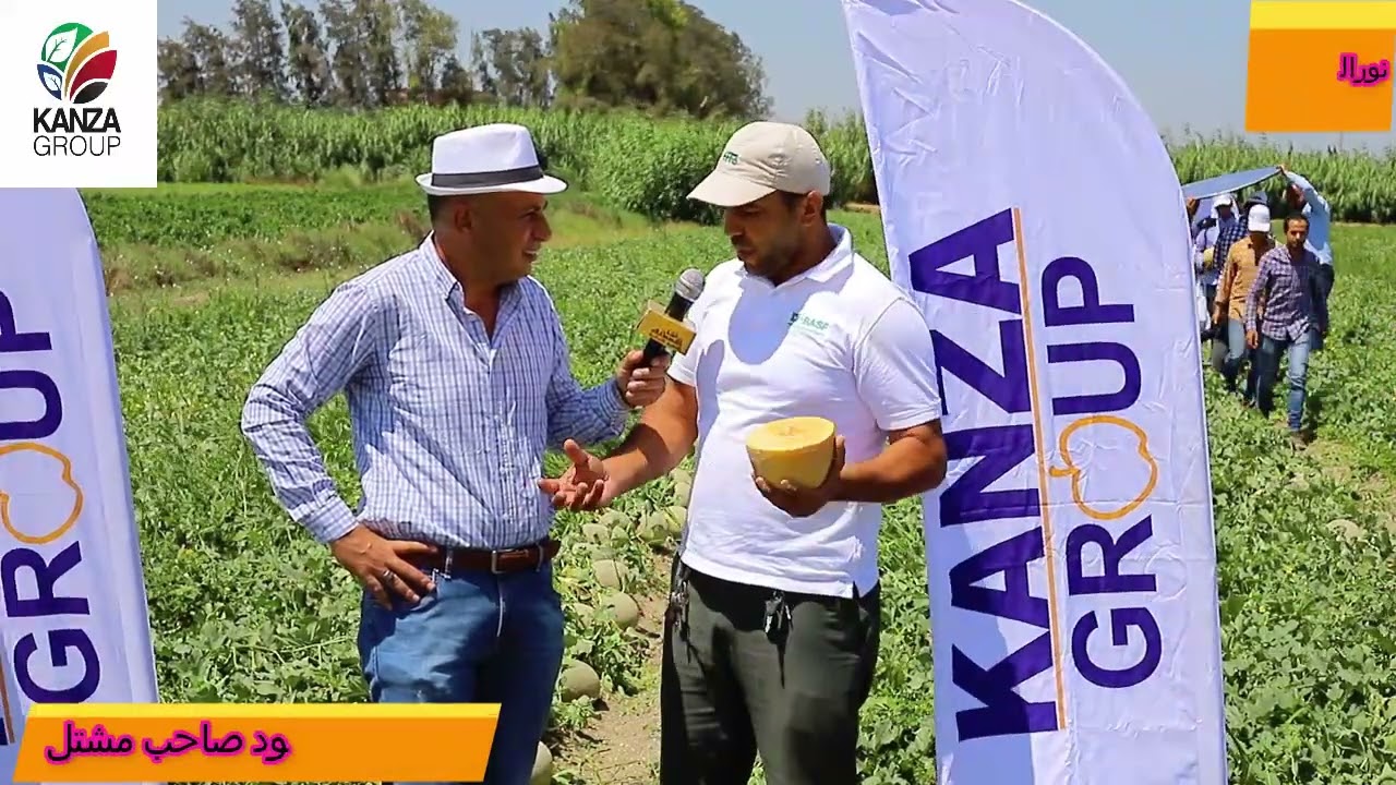 شمام أنس شركة كانزاجروب