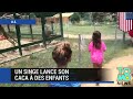 Un singe en colère lance son caca à des enfants au zoo