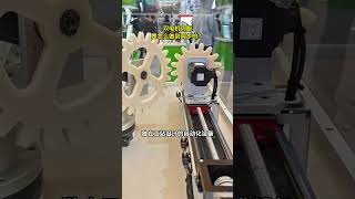 Screw module #Linearstage #Dualmotor #Servomotor #Customautomation