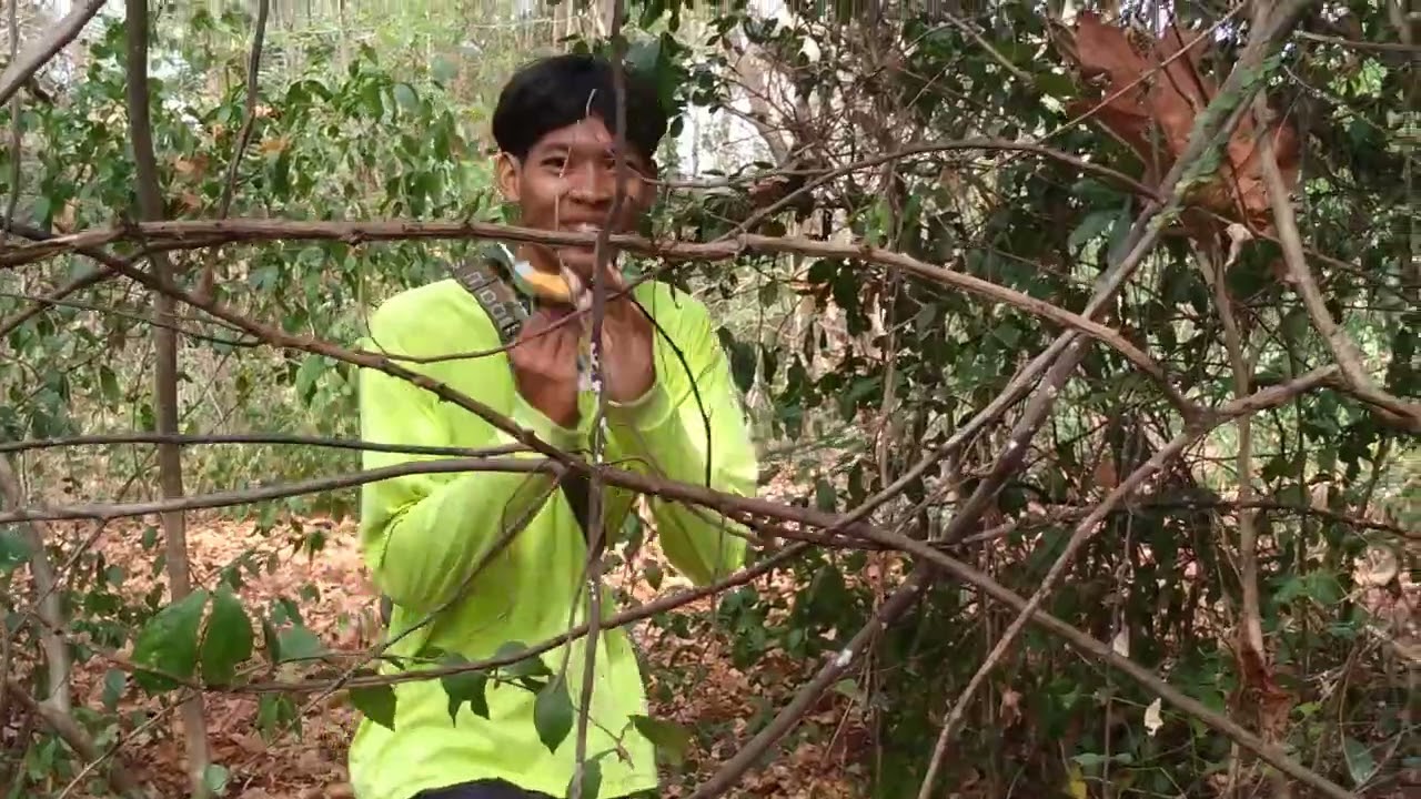 มาเดินดูว่าอยู่มัย