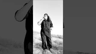 Limp Bizkit  Livin It Up cover