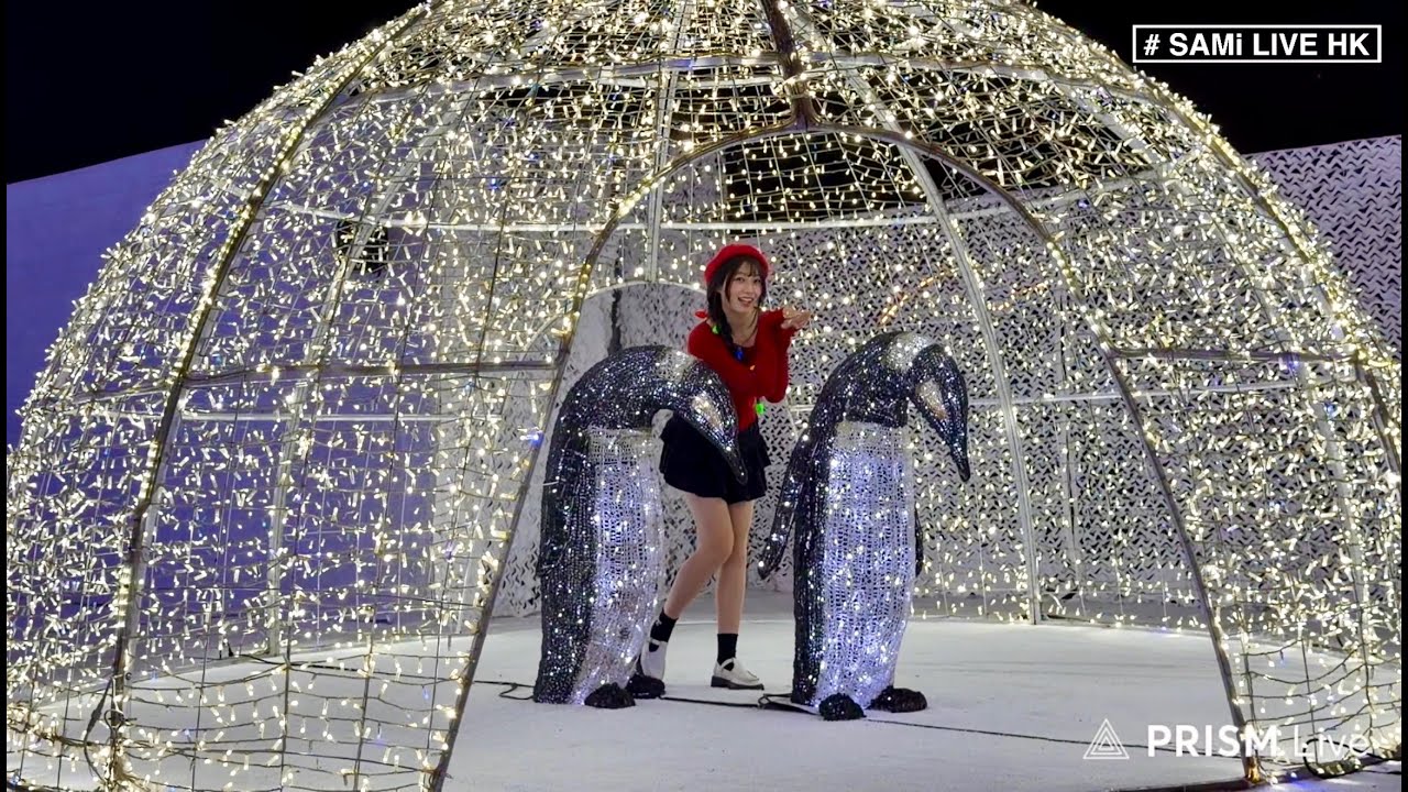 光影藝術體驗  LIVE  |   全球最高47米光影許願樹登陸香港   Festilumi沉浸式光影樂園（香港站）傳媒預覽  |  灣仔海濱  | SAMi LIVE HK