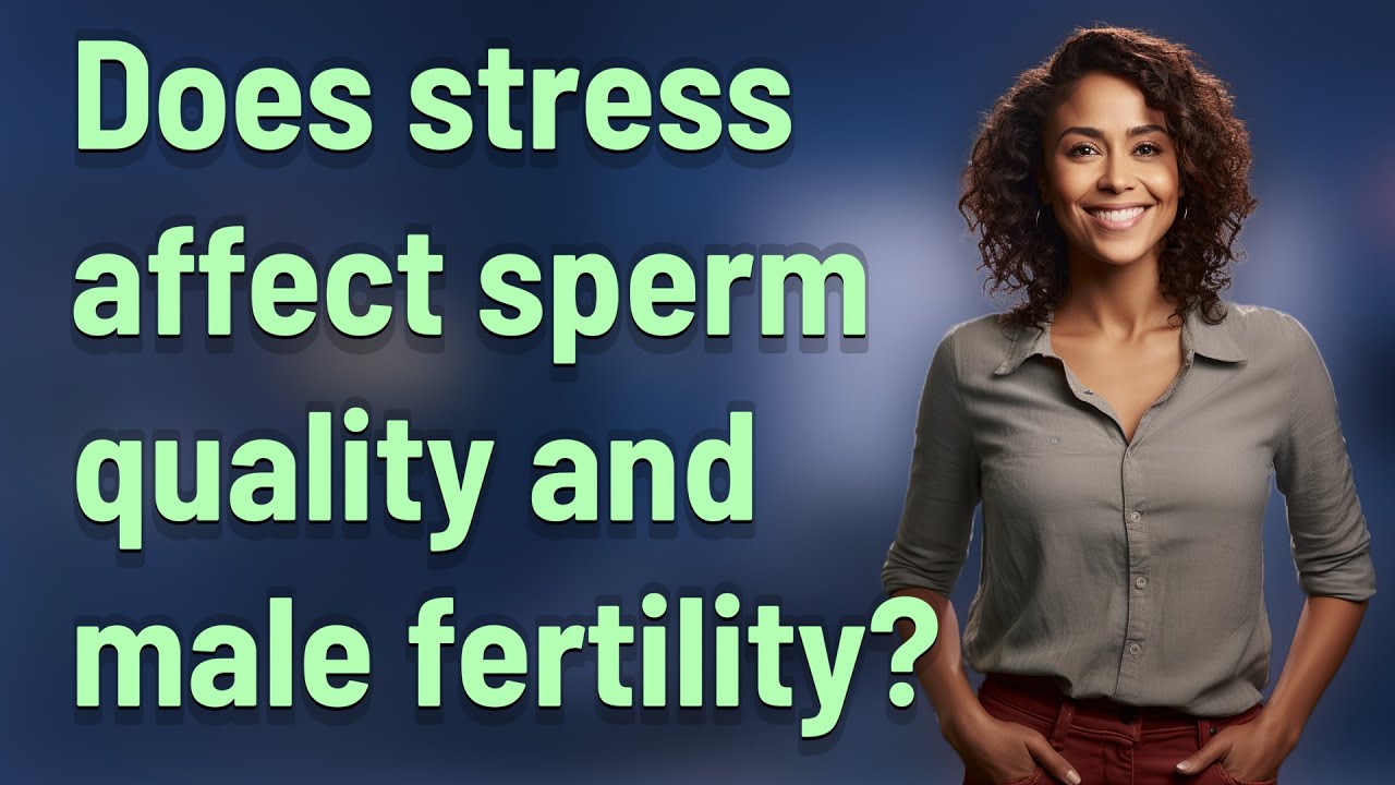 Does stress affect sperm quality and male fertility?