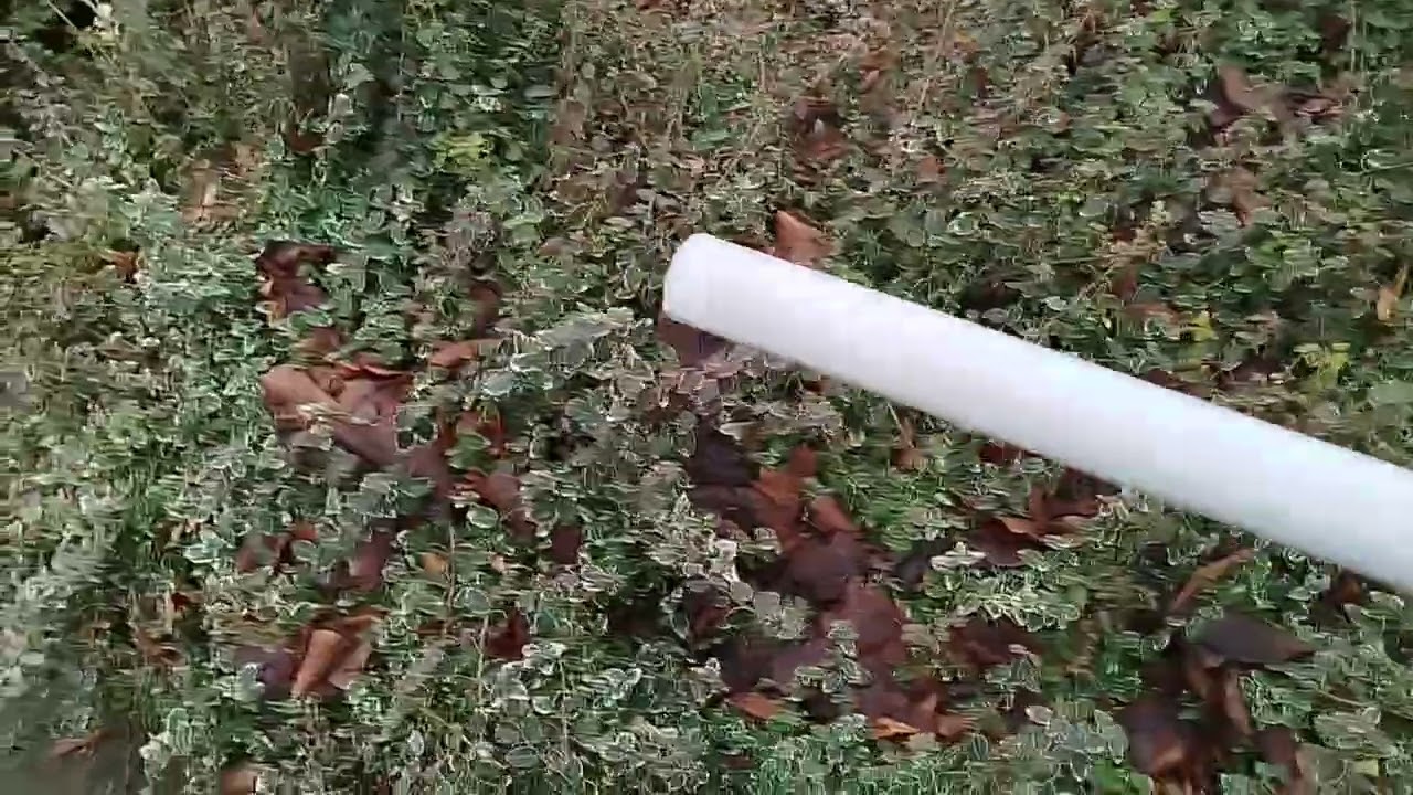 Rod Mikołów zimą 2025.12.21