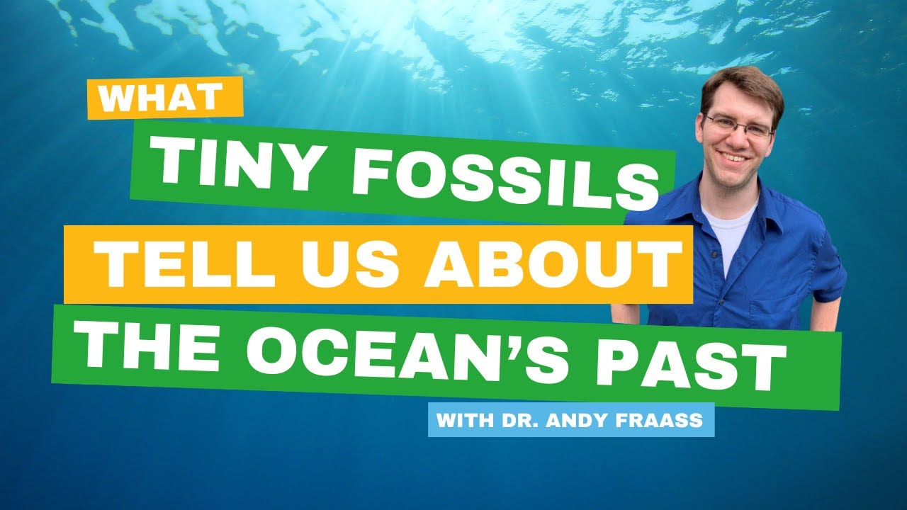 What tiny ocean fossils tell us about the ocean's past