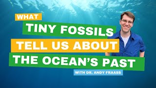 What tiny ocean fossils tell us about the ocean's past