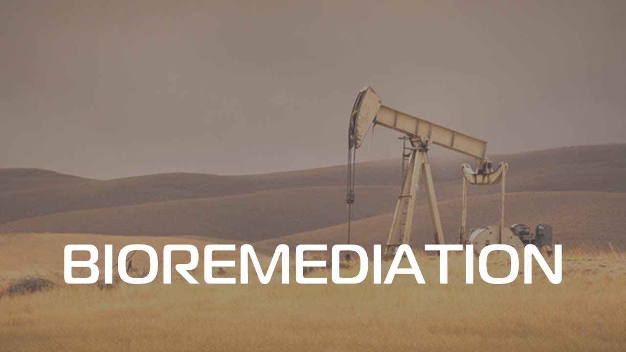 MDG Market: Bioremediation