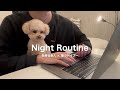 【ナイトルーティン】犬と暮らす20代社会人男の休日夜