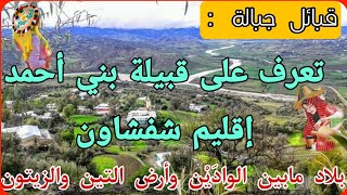 قبائل جبالة : تعرف على قبيلة بني أحمد بلاد مابين الوادَيْن وأرض التين والزيتون إقليم شفشاون