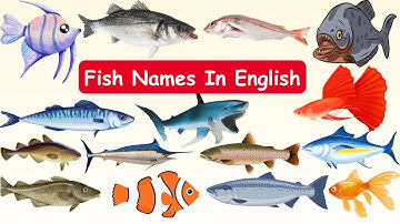 Fish Name | Fish Names in English with Pictures | Fresh Water Fish in the Ocean