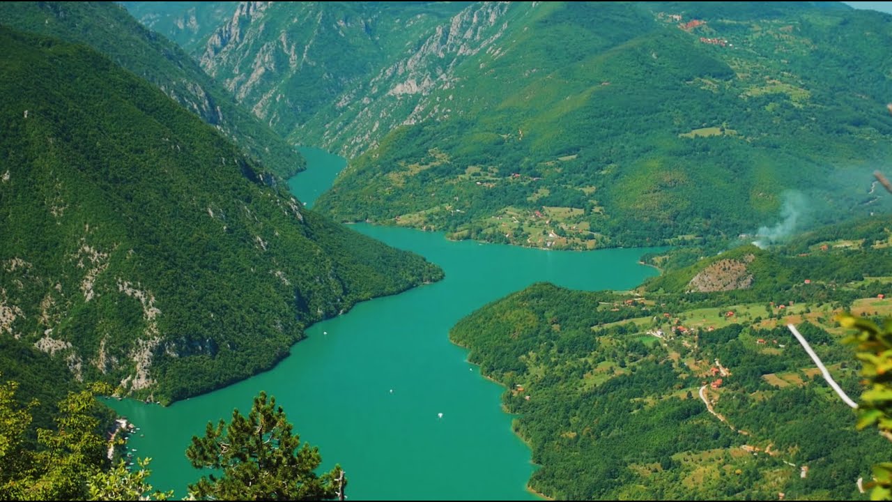 Bogatstvo biodiverziteta Nacionalnog parka Tara