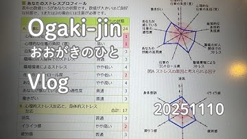 20251110 コンサルの深夜作業でストレスは最大？ Vlog | Consulting work entails long hours with very high stress level?