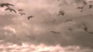 Kalejo Me Ab To Barti Ja Rahi He Larkeyan