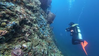 Bauan Diver’s Sanctuary Resort - May 19, 2024