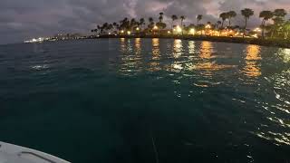 Aruba Fishing Charter Experience!