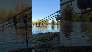 Download Lagu Take on Cam #fishing #fishingvideo #fishingtrip #fishinglife #fishingvideos #hindersbait #angling MP3