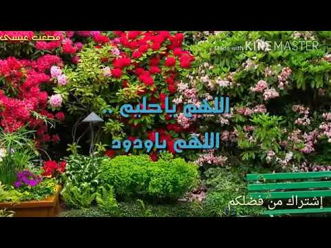 يارب ياكريم 