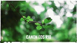 Canon EOS R10 With 50mm (4k Video Footage)