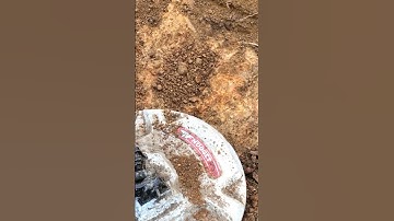 Metal Detecting Finds #metaldetecting #detecting #shortsvideo #shorts #gold