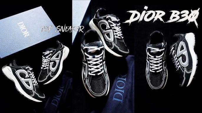 Dior B22 Sneaker Review