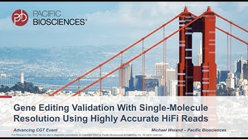 Gene Editing Validation with Single-Molecule Resolution Using Highly Accurate HiFi Reads
