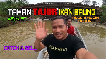 Tahan Tajur Ikan Baung | Rezeki Musim Hujan
