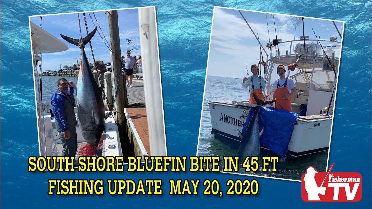 Long Island Metro Area Fishing Update May 20, 2020