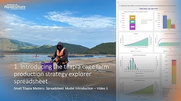 Small Tilapia Spreadsheet - Video 1