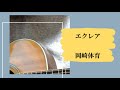 エクレア/岡崎体育 cover