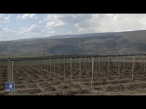 Video: Ի՞նչ է գյուղատնտեսության գնի աջակցությունը: