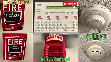 Full System December 2023 Walk Test