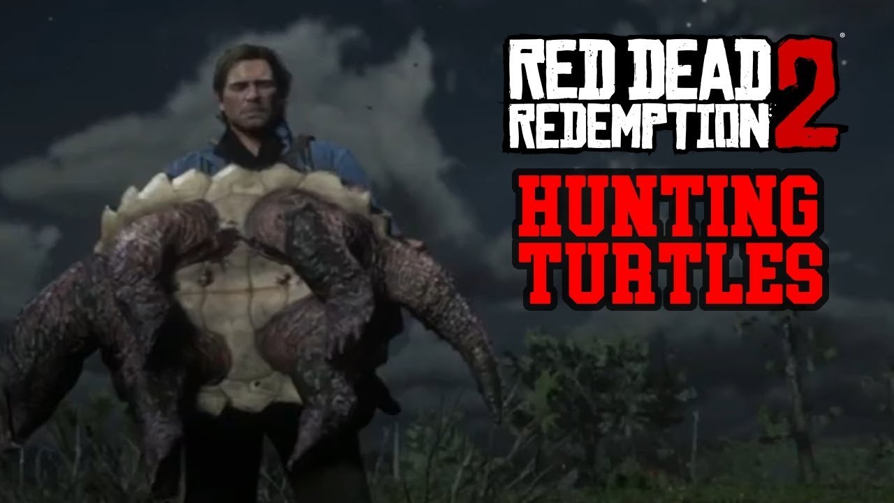 Red Dead 2 And A Turtle YouTube