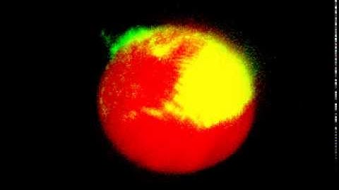 Contraction of a biomimetic cortex