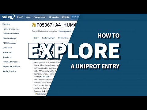 How to explore