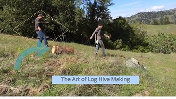 How To Make Rose Bee Hive//new video//Flow™ Hive Full Revea,,,