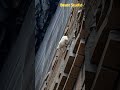 Mountain Goats Master the Dam Cliff: Unbelievable Downhill Skills!