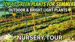 अप्रैल में Nursery से कौन से Plants लाएं? Outdoor &amp; Bright Light Plants Best Green Plants for Summer
