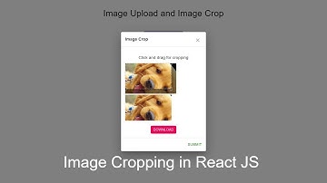 Image Cropping in React JS | How to Crop a Image in React JS | Learn Advance React