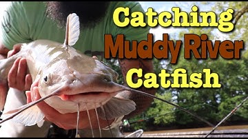 Tips for Catching Catfish in a Muddy River (fast current)