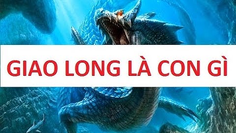 So sánh giao long với rồng năm 2024