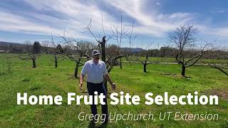 Home Fruit Site Selection