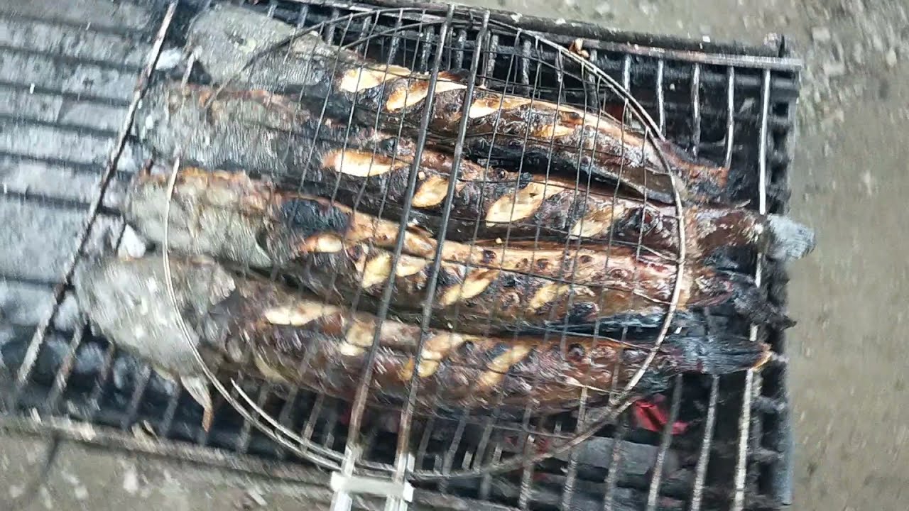 Inihaw na hito/Grilled Catfish - YouTube