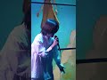 【Jinisオリジナル】空中浮遊 part1#shorts #fyp #music #オリジナル曲 #Jinis #曲紹介 #おすすめ