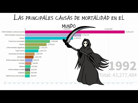 Video: Cuántas personas mueren de influenza por año en el mundo