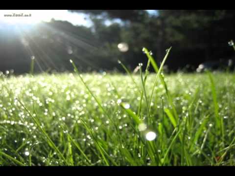 Music Ethiopian Aklilu Seyoum 01