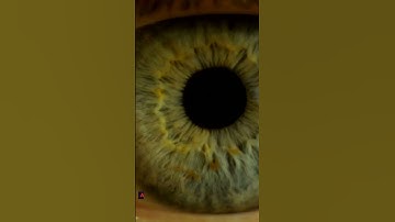 Open Banking: Sharing Financial Data Safely