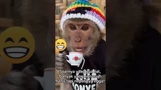 Janji Manis 😁 #satwa #florafauna #funny #hiburan