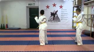 8th KUP YELLOW BELT