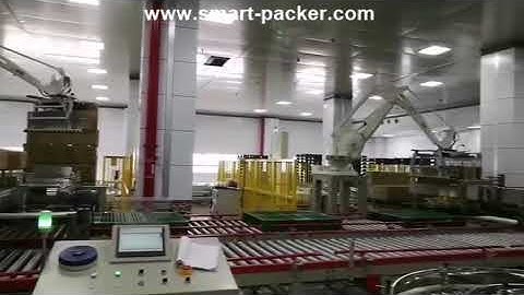 Box case carton robot hand palletizing machine palletizier line palletizing video