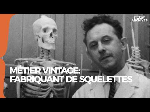 Métier vintage : fabricant de squelettes en 1960 - RTBF Archives